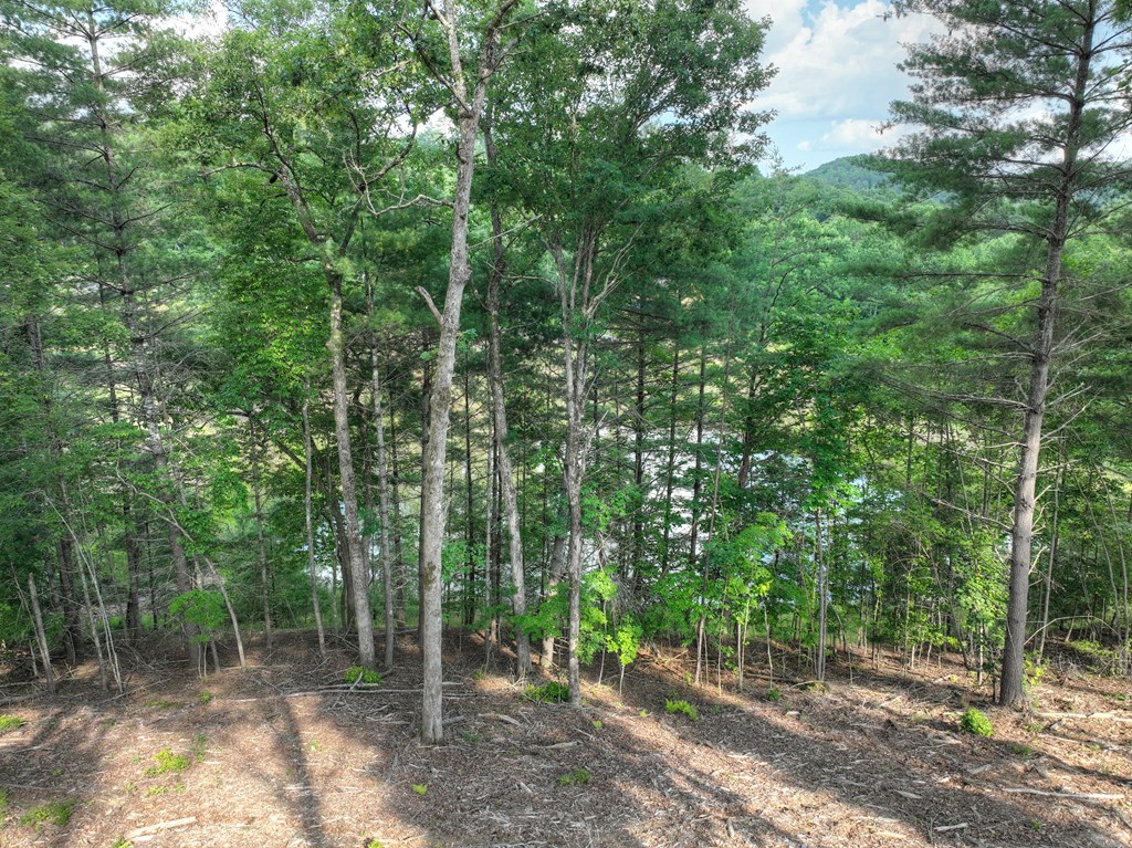 190 Split Creek Road