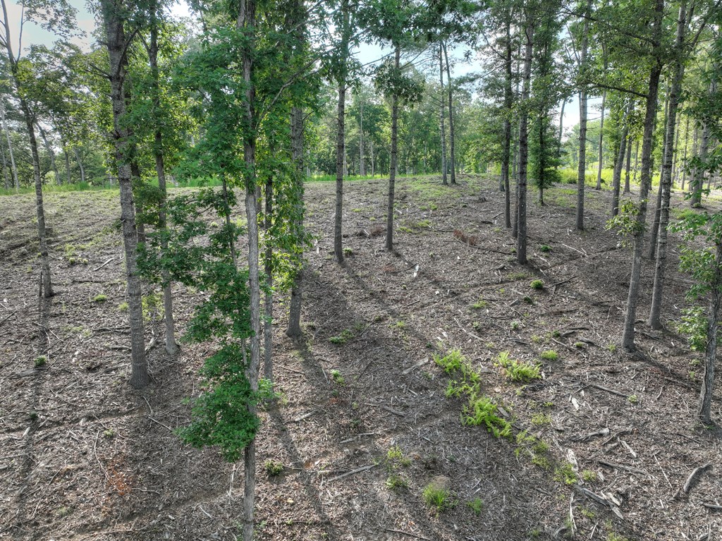 190 Split Creek Road