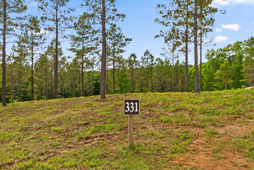 Lot 331 Twisted Oak Road