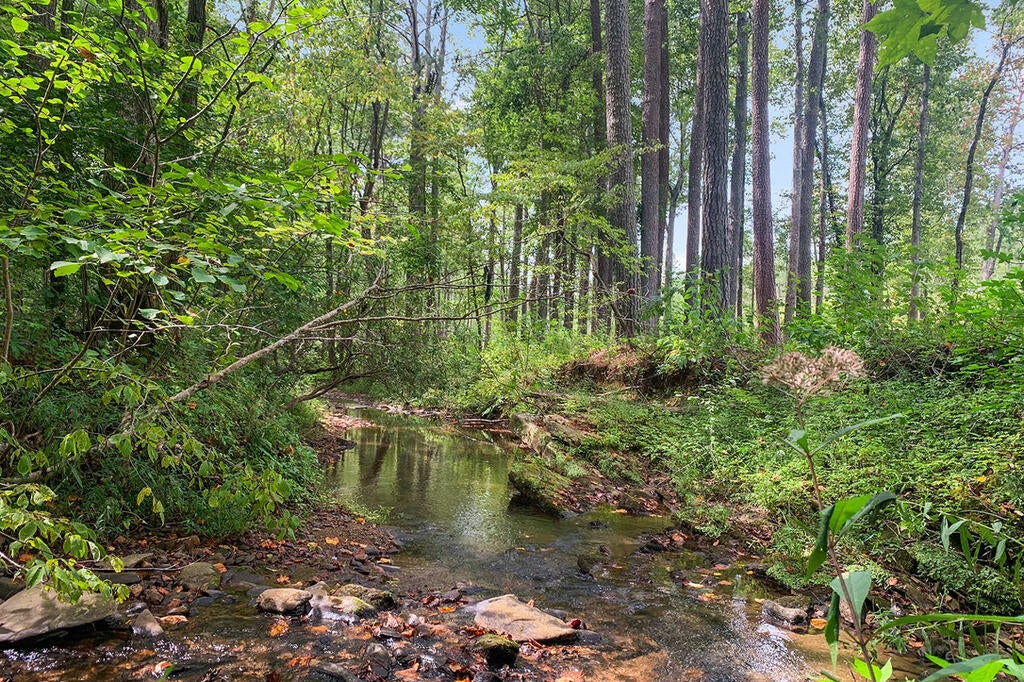 Lot 331 Twisted Oak Road