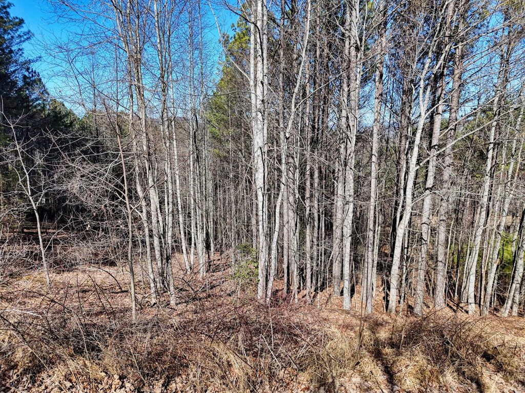Lot 24 Loftis Mountain