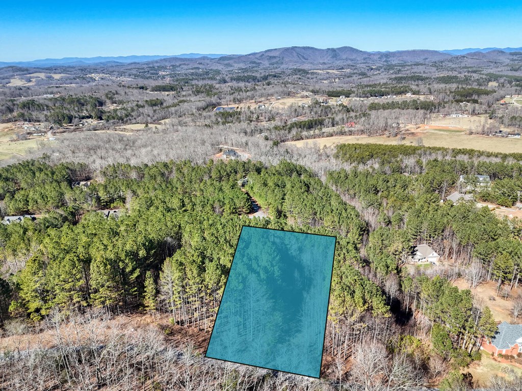 Lot 24 Loftis Mountain