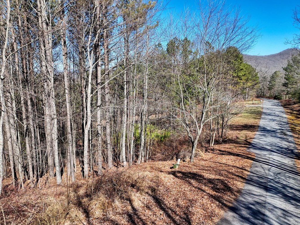 Lot 24 Loftis Mountain