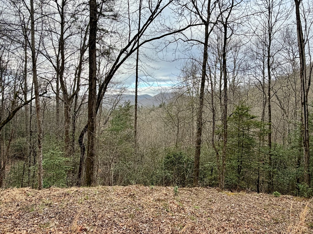 Lot 13 The Highlands