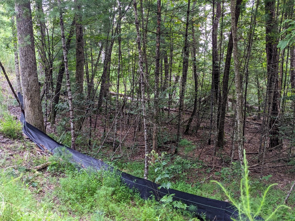 Lot 11 Quail Cove Circle