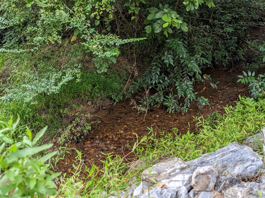 Lot 11 Quail Cove Circle