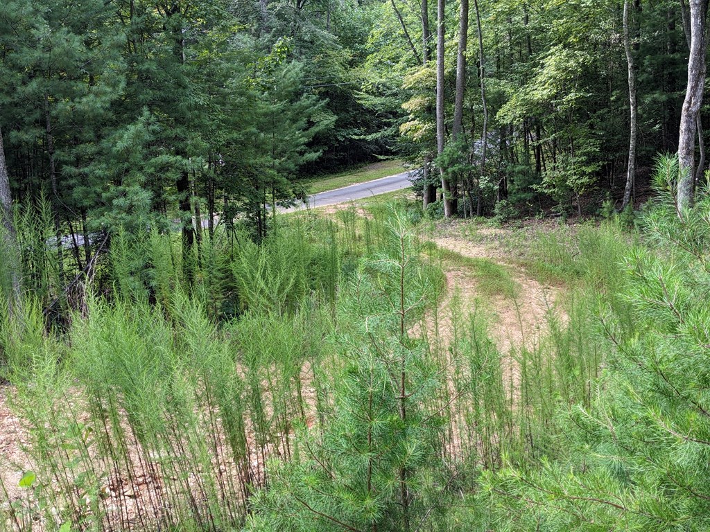 Lot 11 Quail Cove Circle