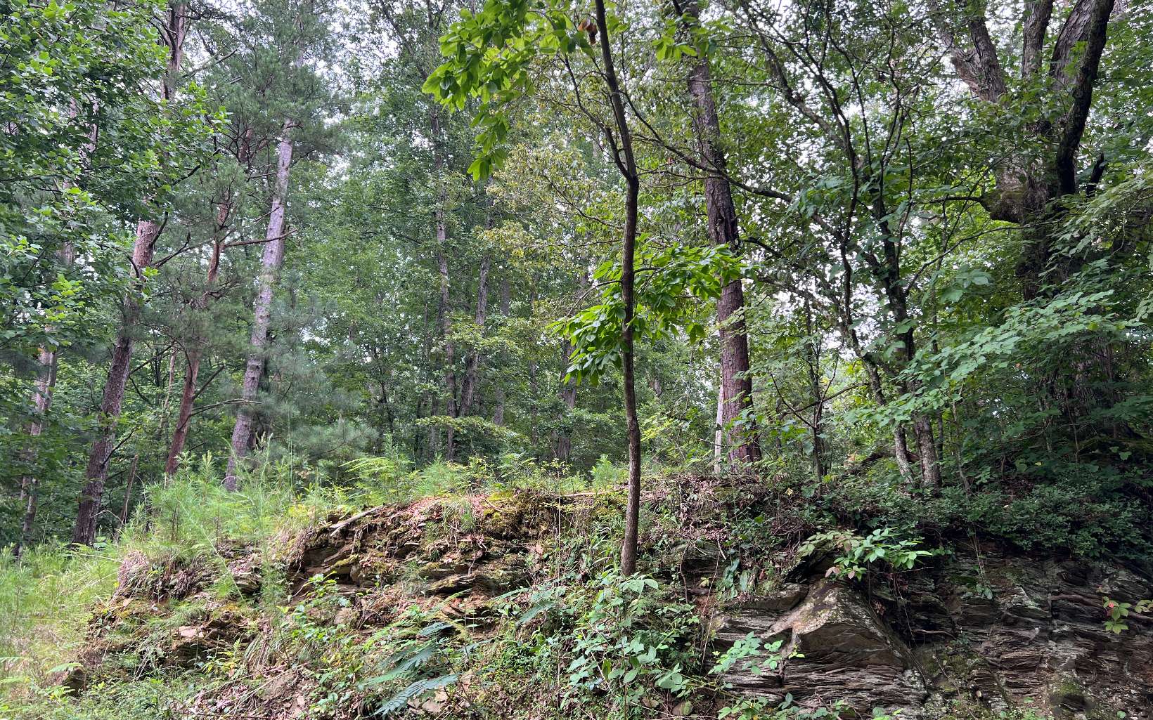 0 Pinyan Road