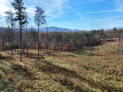 902 Deitz Cable Road Warne NC 28909
