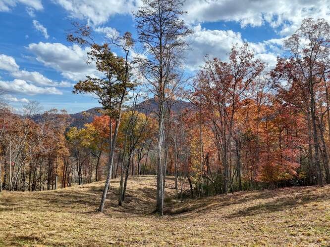 902 Deitz Cable Road