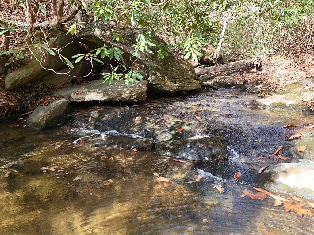 902 Deitz Cable Road