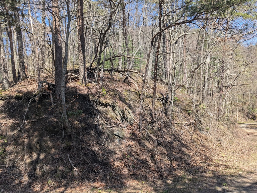 Trk 1&2 Kimsey Mountain Hwy