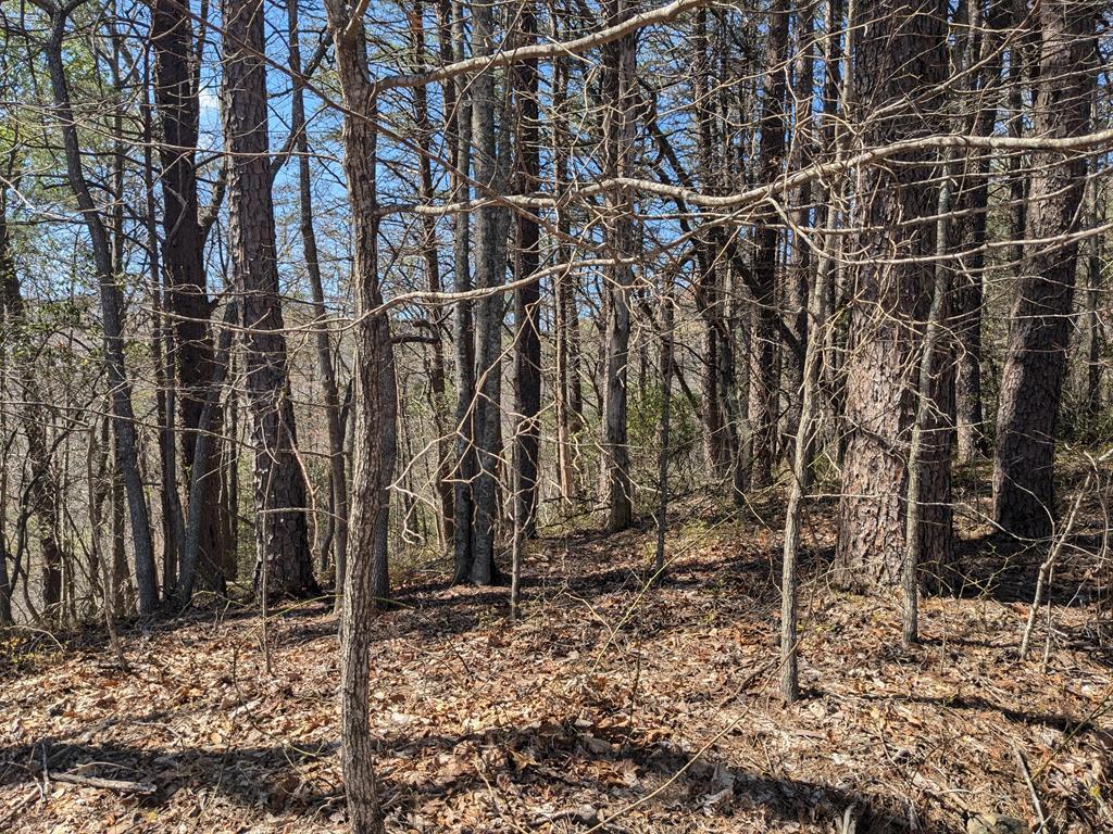 Trk 1&2 Kimsey Mountain Hwy