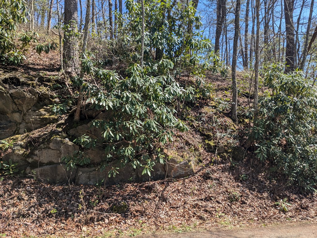 Trk 1&2 Kimsey Mountain Hwy