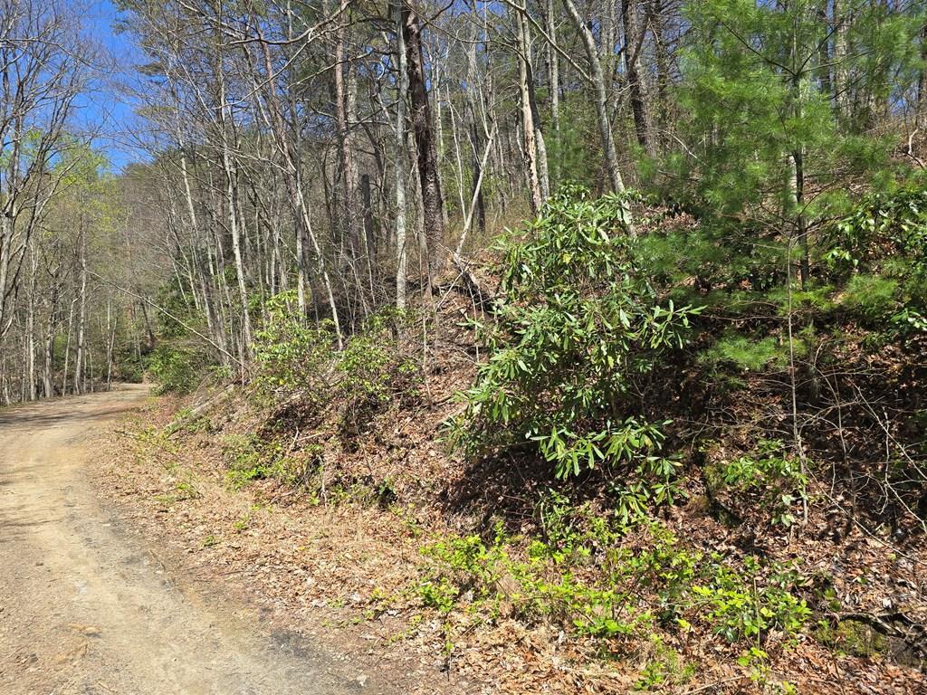 Trk 1&2 Kimsey Mountain Hwy