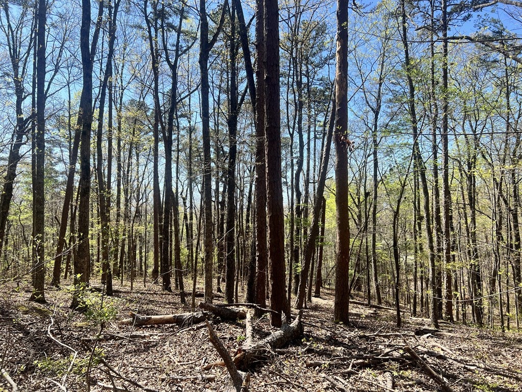Lot 92 Doll Mountain Road