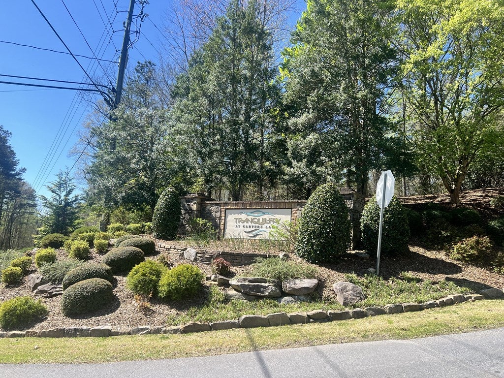 Lot 92 Doll Mountain Road