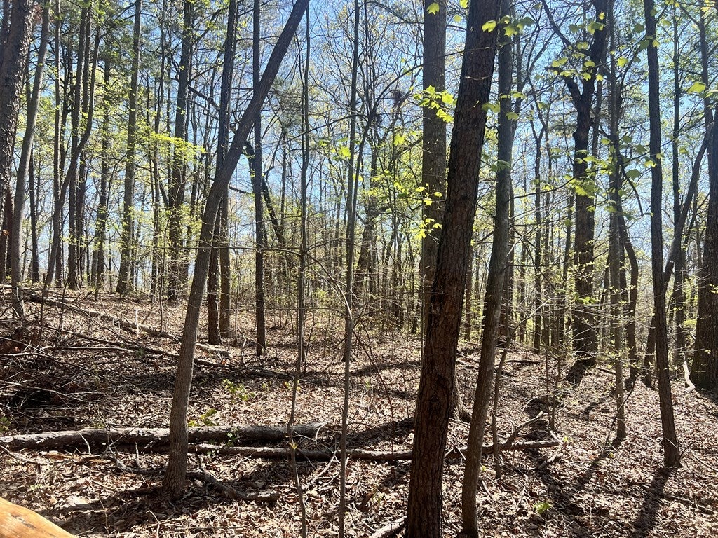 Lot 92 Doll Mountain Road