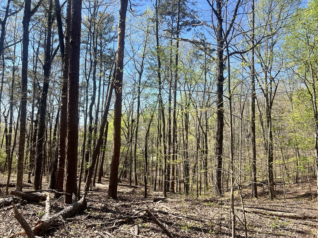Lot 92 Doll Mountain Road