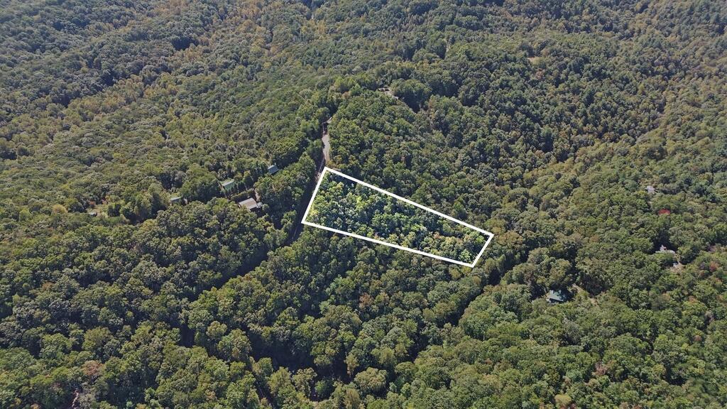 LOT 17B Amy Creek Circle