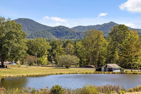 132 TURVEY NICHOLS RD, CISCO, GA 30708 - Image c7644da60e3f6f8426cd2bf3b53d8dc9/1760209880