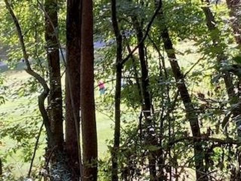 Lt 739 Hiawassee Court Ellijay GA 30540