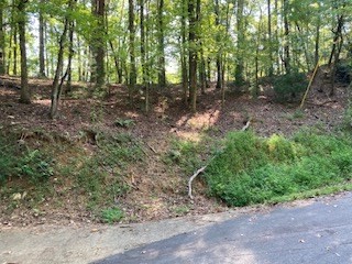 Lt 739 Hiawassee Court