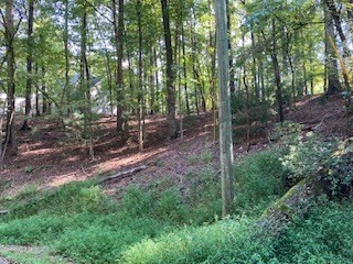 Lt 739 Hiawassee Court