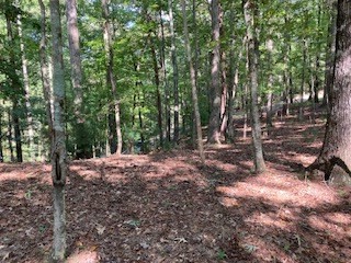 Lt 739 Hiawassee Court