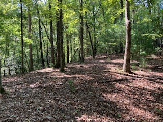 Lt 739 Hiawassee Court