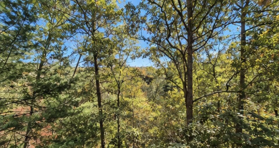 1575 Riverview Drive