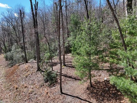 Lot 9 Native Trail Blue Ridge GA 30513