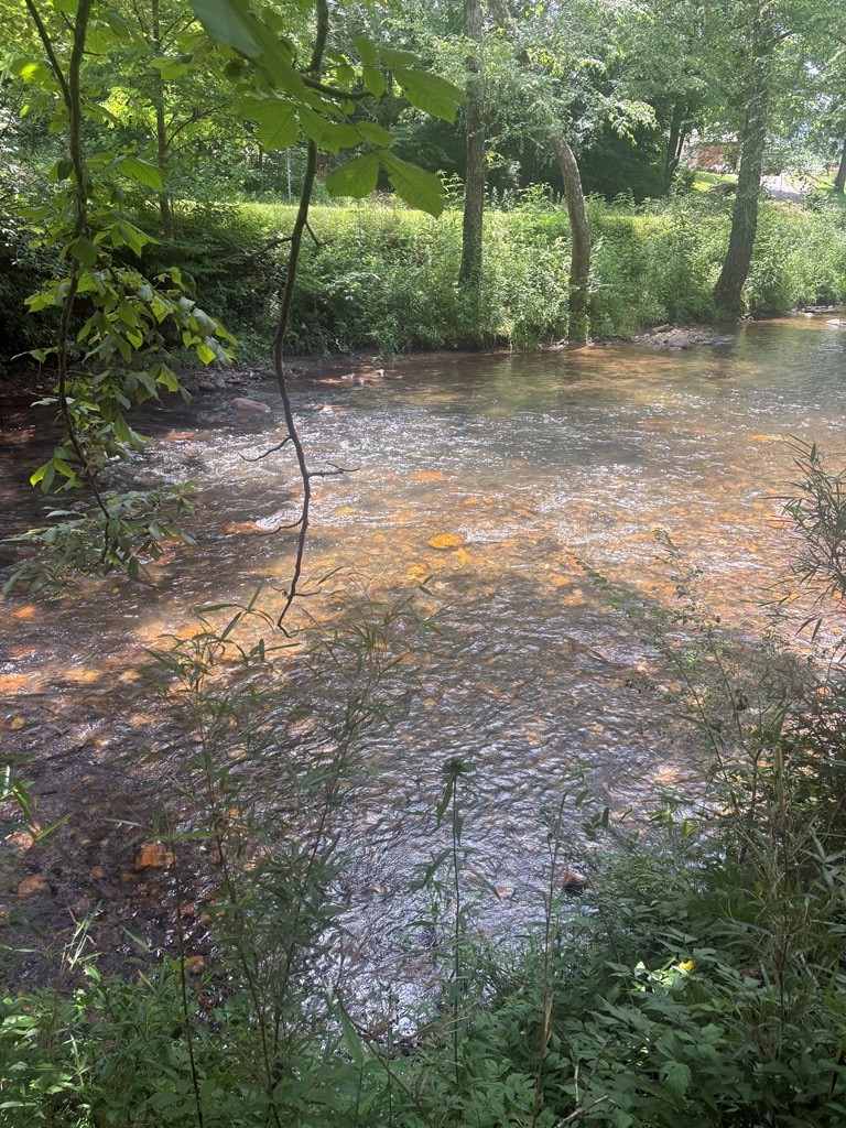 lot 6 Creekfront Lane