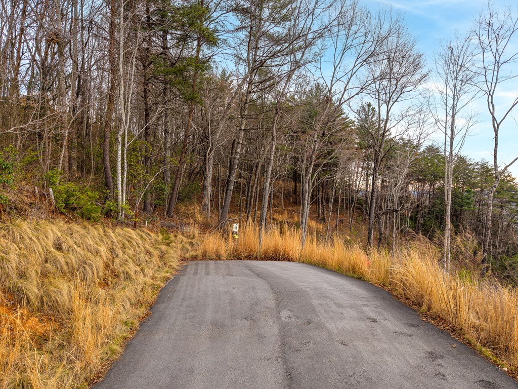 Lot 13 White Oak Circle