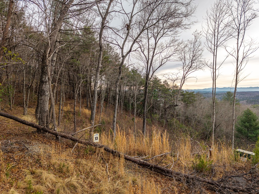 Lot 13 White Oak Circle