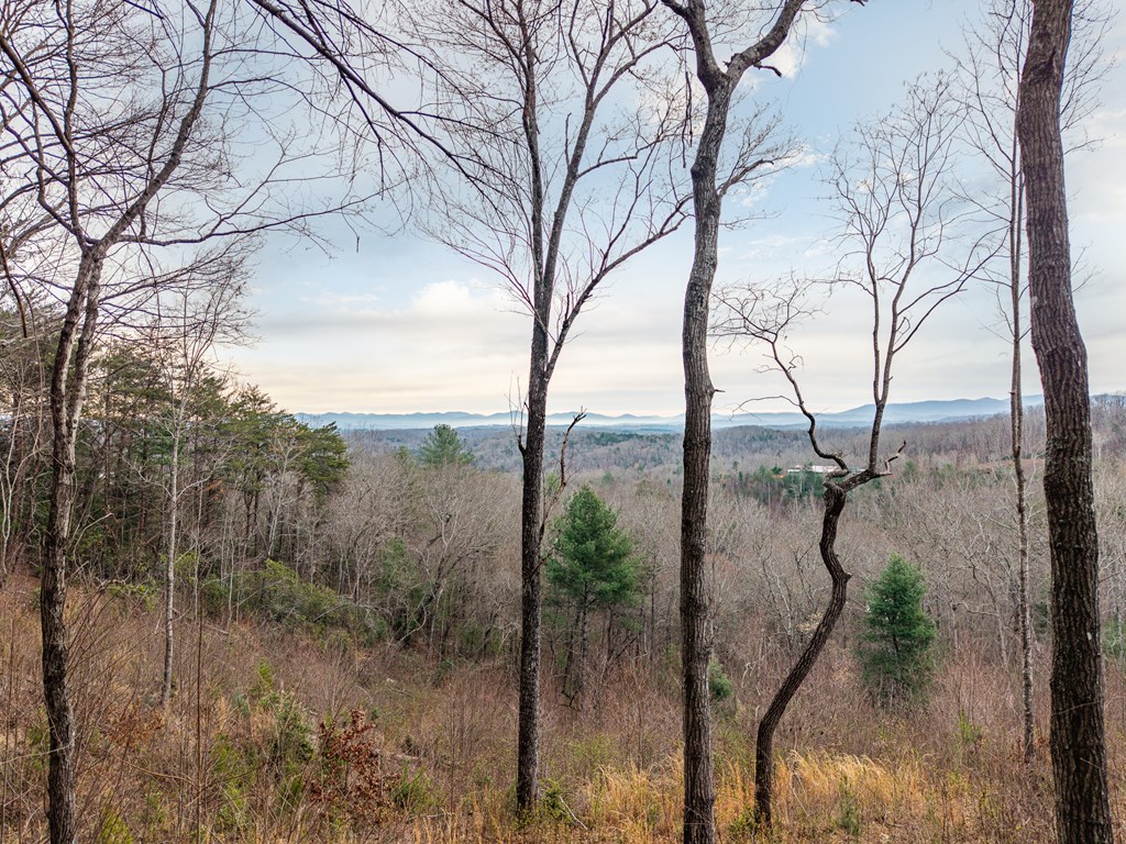 Lot 13 White Oak Circle