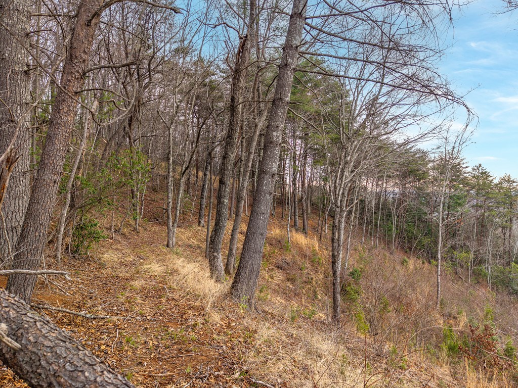 Lot 13 White Oak Circle