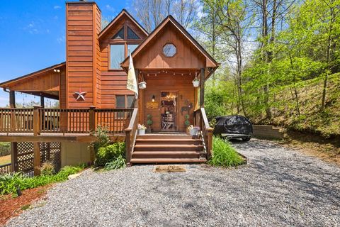 A home in Mineral Bluff