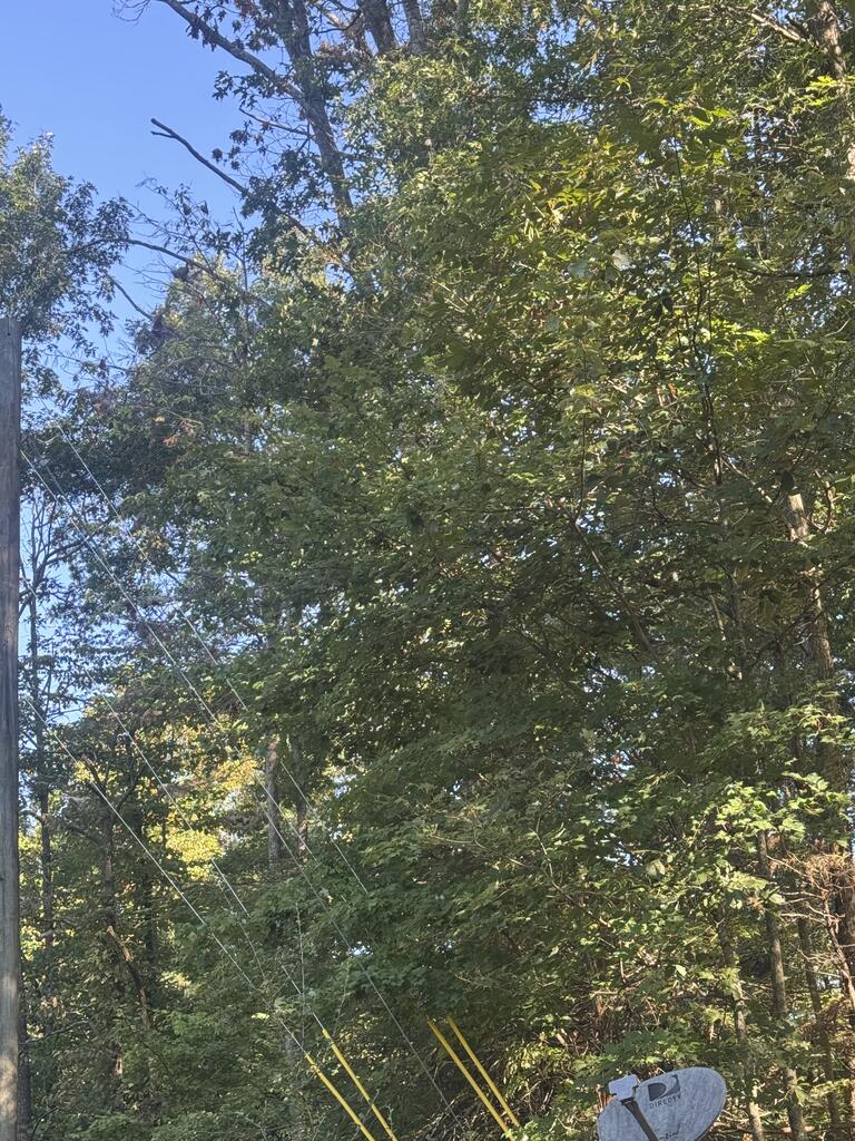 Lot 5 Roberts Ridge Road