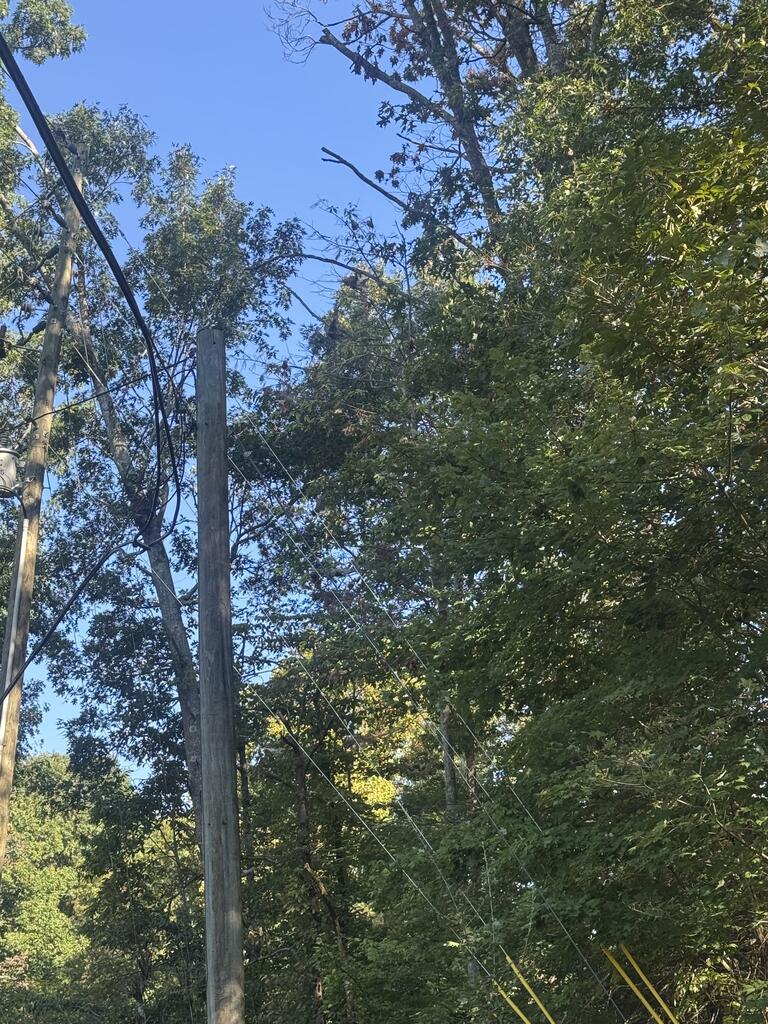 Lot 5 Roberts Ridge Road