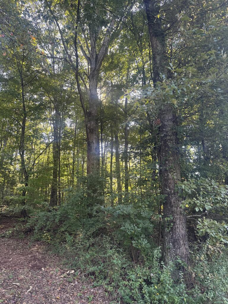 Lot 5 Roberts Ridge Road