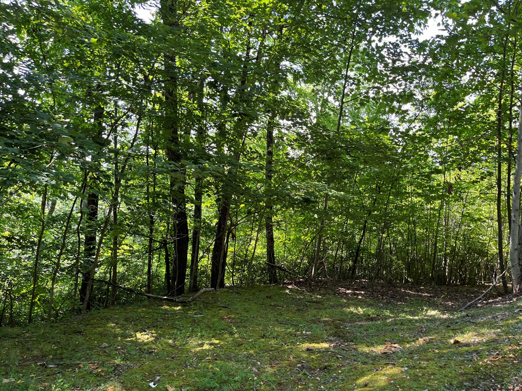 Lot 24 Double Knob Drive E