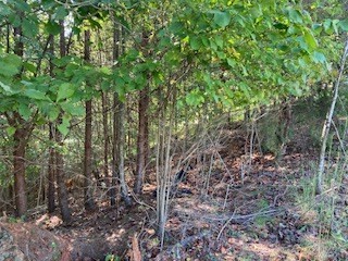 Lot 25 Birchwood Drive