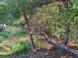 Lot 25 Birchwood Drive