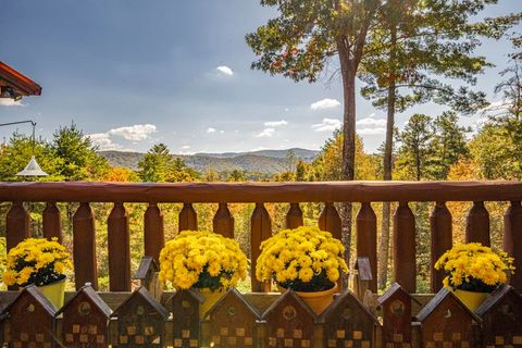 A home in Blue Ridge