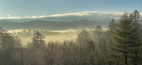 A home in Blue Ridge