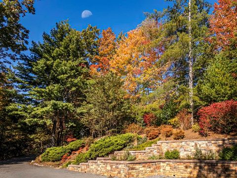 A home in Blue Ridge