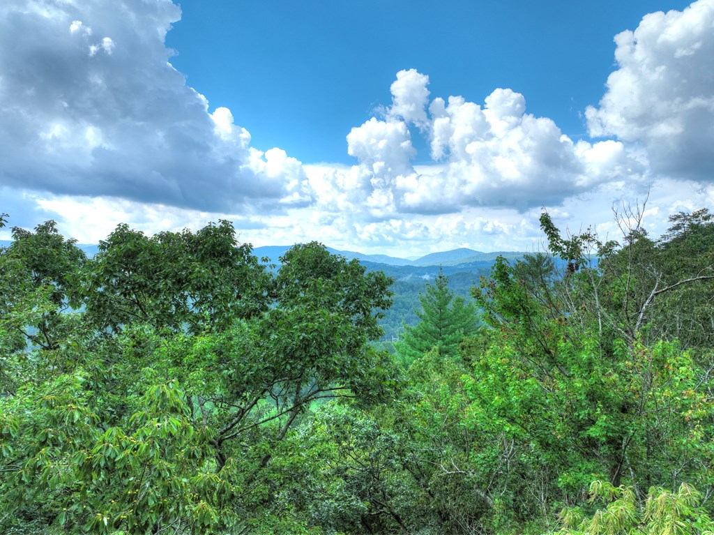 1362 Cherry Log Street