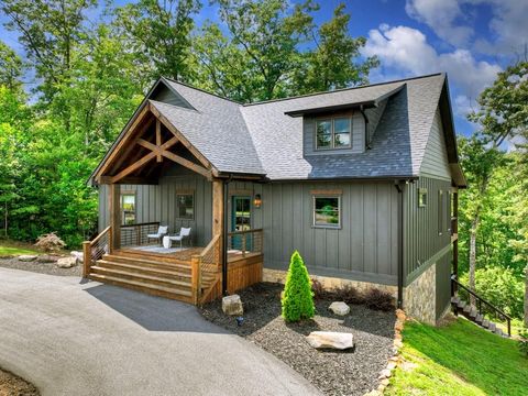 141 Long View Lane Blue Ridge GA 30513