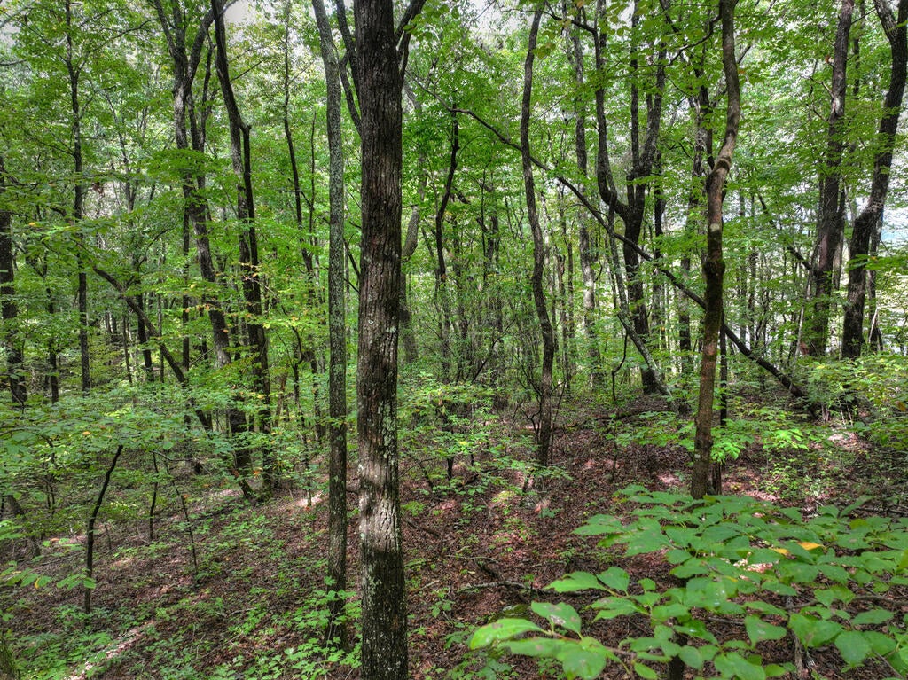 Lt. 125R Mountainside Parkway